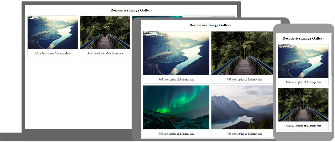 gallery4